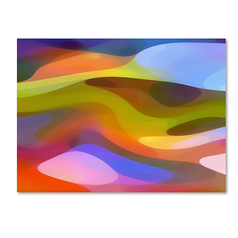 Trademark Fine Art Amy Vangsgard 'Dappled Light 1' 14" x 19" Canvas Stretched (886511933996) image 1