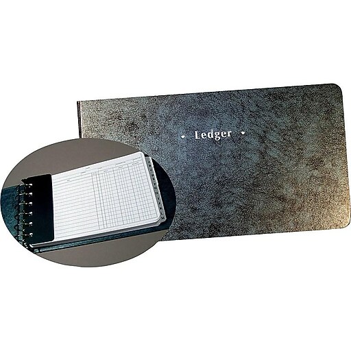 Staples Ledger Binder, 200 Pages, Blue Marble (26520) Staples