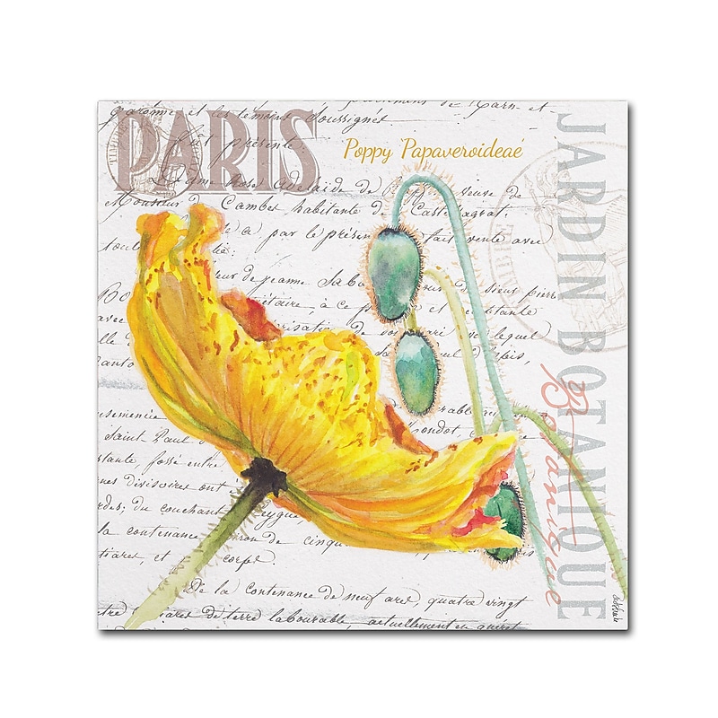 Trademark Fine Art Jennifer Redstreake 'Paris Botanique Yellow Poppy' 18" x 18" Canvas Stretched (886511944480) image 1
