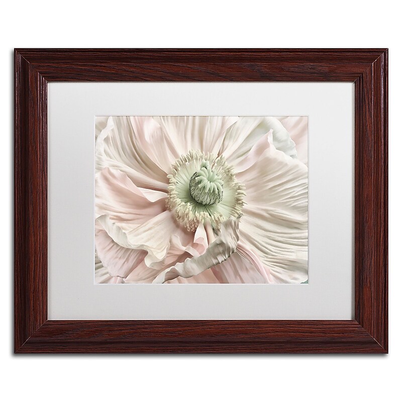 Trademark Fine Art Cora Niele 'Pink Poppy' 11" x 14" Matted Framed (190836308361) image 1