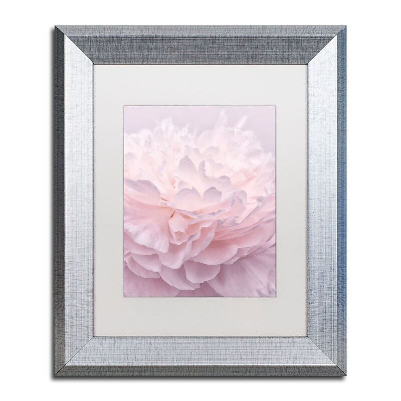 Trademark Fine Art Cora Niele 'Pink Peony Petals I' 11" x 14" Matted Framed (190836307340) image 1