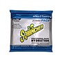 Sqwincher Powder Pack Assorted Flavors Powdered Sports Drink, 23.83 oz., 32 Packet/Carton (016044-AS)~#|#~sp46038754_sc7