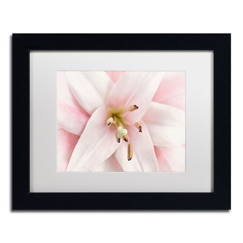 Trademark Fine Art Cora Niele 'Pink Lily' 11" x 14" Matted Framed (190836306985) image 1