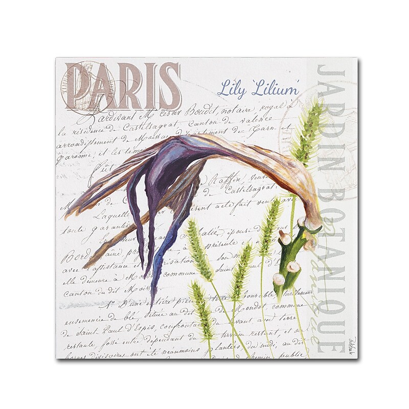 Trademark Fine Art Jennifer Redstreake 'Paris Botanique Lily Purple' 14" x 14" Canvas Stretched (886511944190) image 1