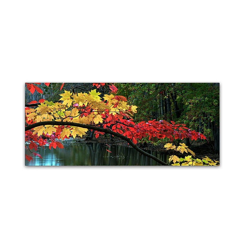 Trademark Fine Art Kurt Shaffer 'Autumn Red and Gold' 10" x 24" Canvas Stretched Art Print (886511964006) image 1