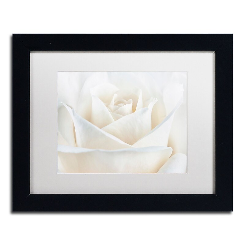 Trademark Fine Art Cora Niele 'Pure White Rose' 11" x 14" Matted Framed Art Print (190836308668) image 1