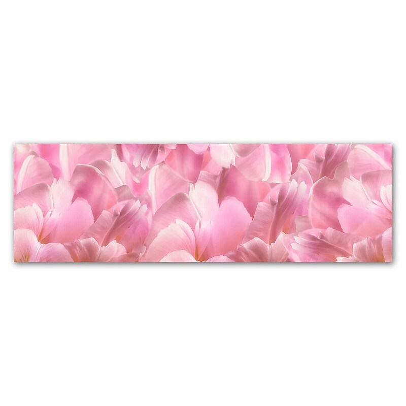 Trademark Fine Art Cora Niele 'Pink Tulip Scape' 8" x 24" Canvas Stretched (190836317776) image 1
