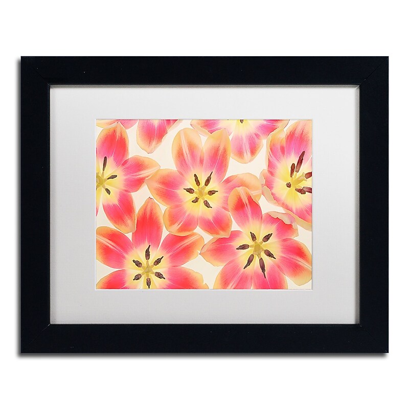 Trademark Fine Art Cora Niele 'Yellow and Coral Red Tulips' 11" x 14" Matted Framed (190836312023) image 1