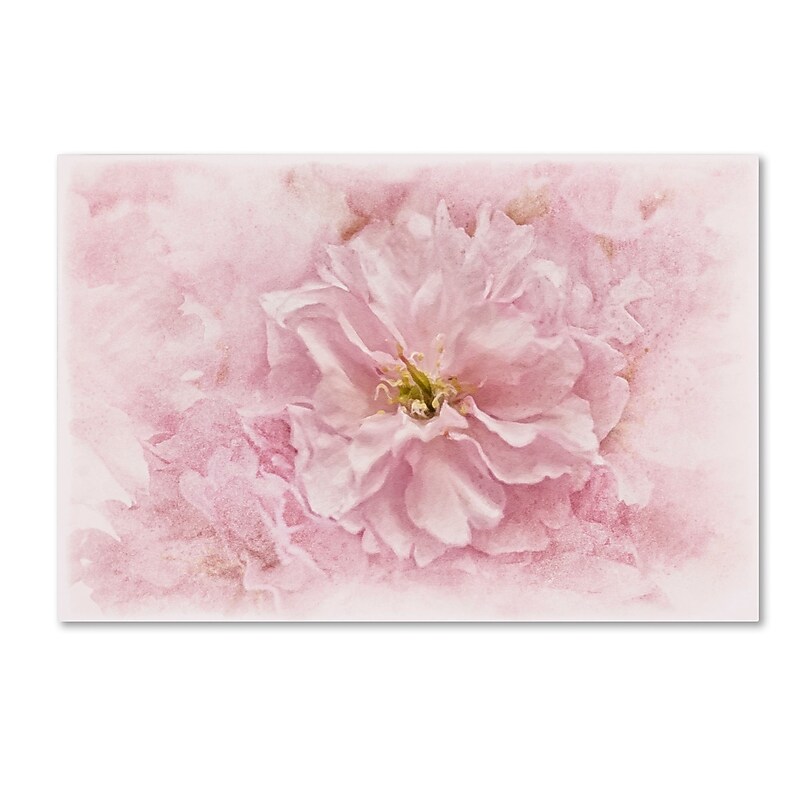 Trademark Fine Art Cora Niele 'Cherry Blossom' 12" x 19" Canvas Stretched (190836252183) image 1