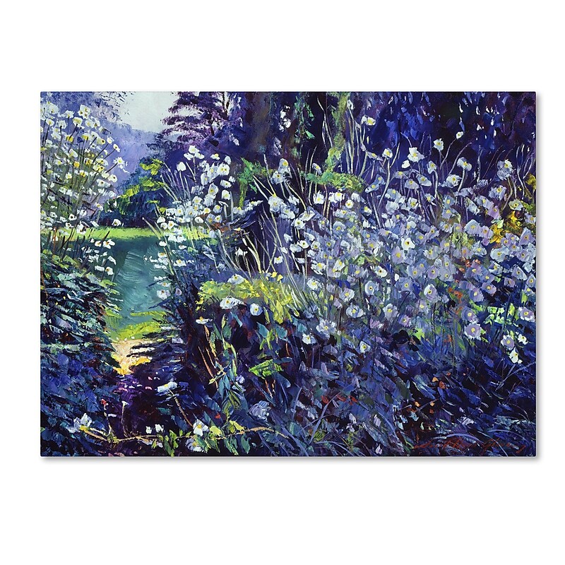 Trademark Fine Art David Lloyd Glover 'Tangled White Flowers' 14" x 19" Canvas Stretched (190836225569) image 1