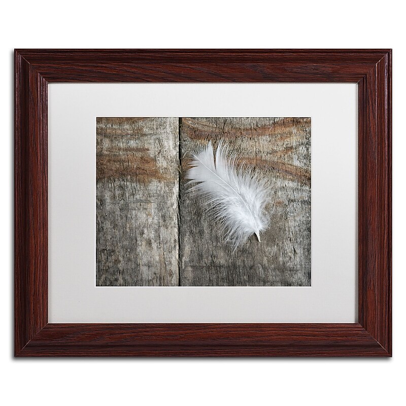 Trademark Fine Art Cora Niele 'Feather on Wood II' 11" x 14" Matted Framed Art Print (190836255641) image 1