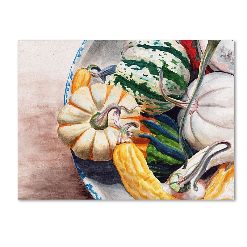 Trademark Fine Art Jennifer Redstreake 'Autumn Gourds' 14" x 19" Canvas Stretched Art Print (886511941434) image 1