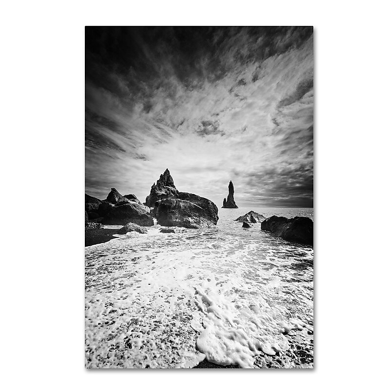 Trademark Fine Art Philippe Sainte-Laudy 'Black Tip' 12" x 19" Canvas Stretched Art Print (190836285488) image 1