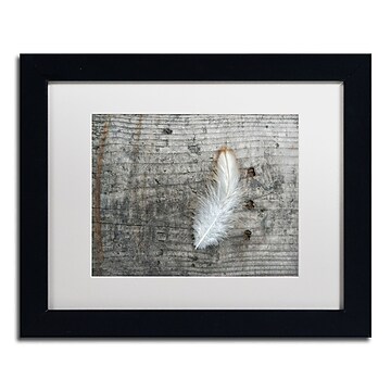 UPC 190836255245 product image for Trademark Fine Art Cora Niele 'Feather on Rough Wood' 11