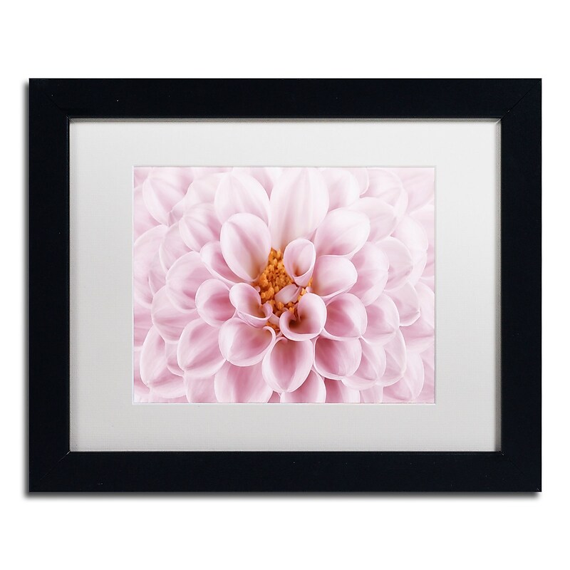 Trademark Fine Art Cora Niele 'Pink Dahlia' 11" x 14" Matted Framed (190836306848) image 1