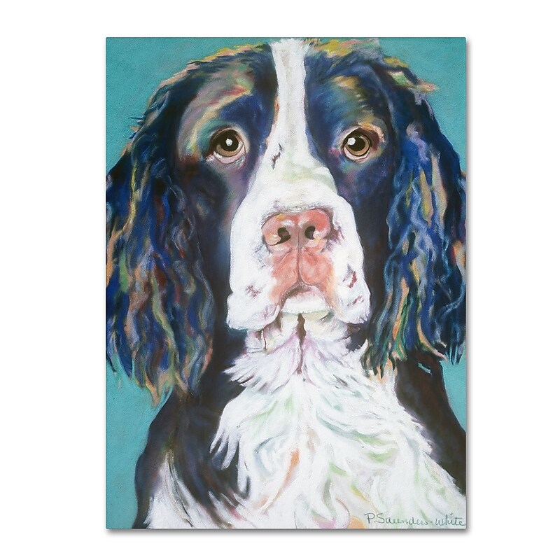 Trademark Fine Art Pat Saunders-White 'Dodger' 14" x 19" Canvas Stretched Art Print (190836059072) image 1