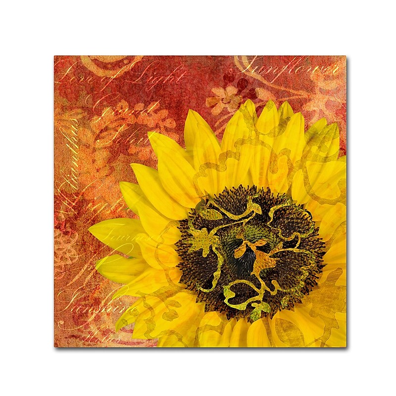 Trademark Fine Art Cora Niele 'Sunflower - Love of Light' 14" x 14" Canvas Stretched (190836312603) image 1