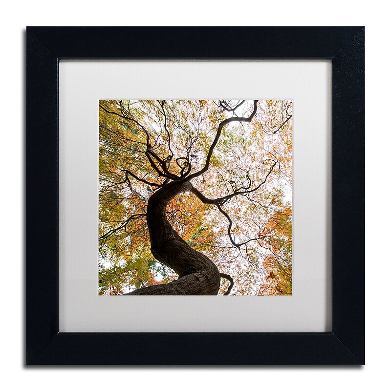 Trademark Fine Art Kurt Shaffer 'Under a Japanese Maple 2' 11" x 11" Matted Framed Art Print (886511966390) image 1