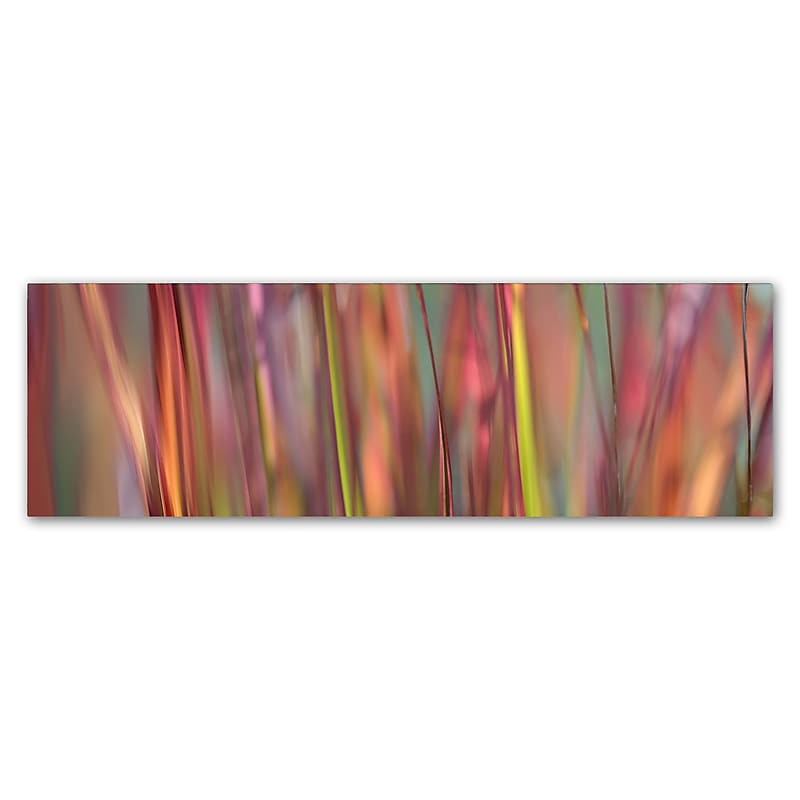 Trademark Fine Art Cora Niele 'Imperata Grass Scape' 6" x 19" Canvas Stretched (190836317561) image 1