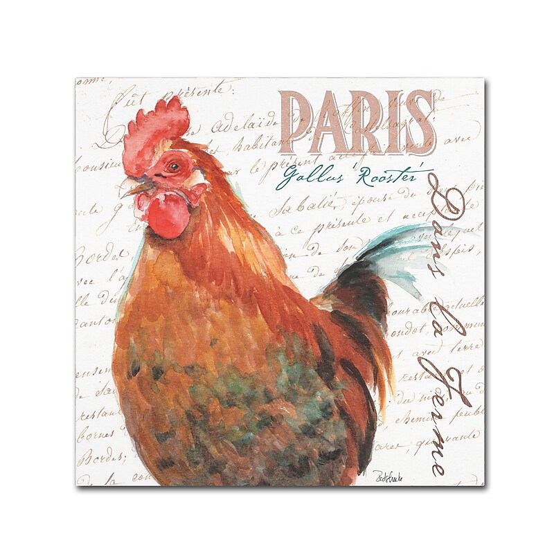 Trademark Fine Art Jennifer Redstreake 'Dans la Ferme Rooster I' 18" x 18" Canvas Stretched (886511943209) image 1