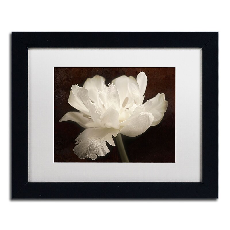 Trademark Fine Art Cora Niele 'White Tulip II' 11" x 14" Matted Framed (190836311743) image 1