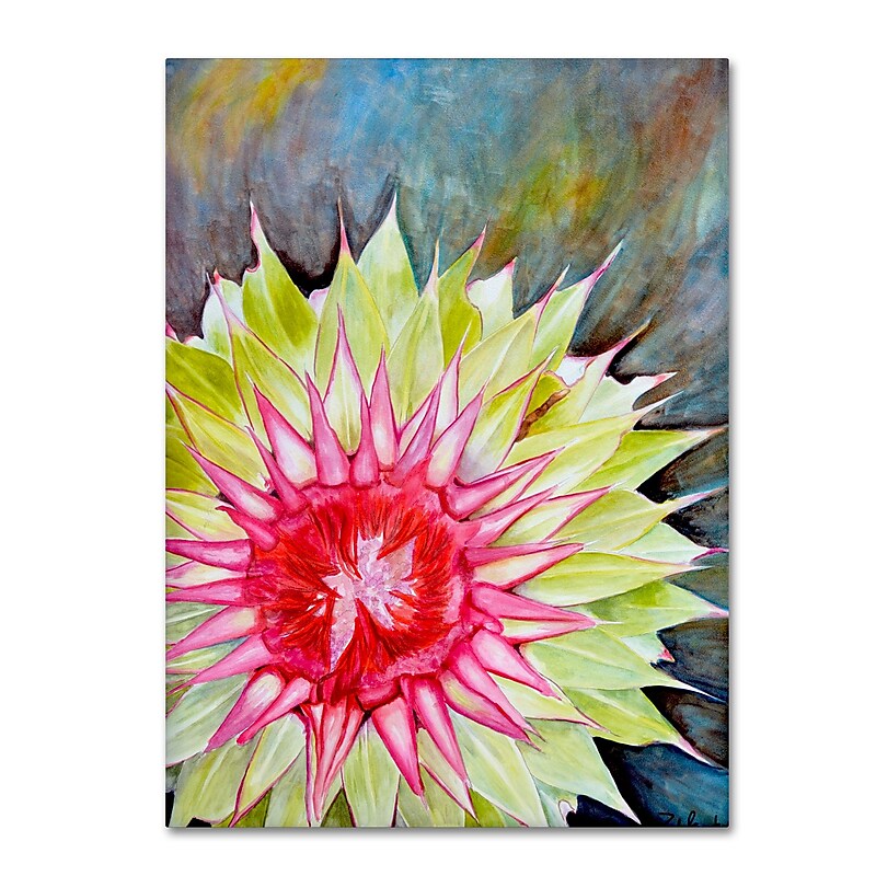 Trademark Fine Art Jennifer Redstreake 'Thistle' 14" x 19" Canvas Stretched Art Print (886511945357) image 1
