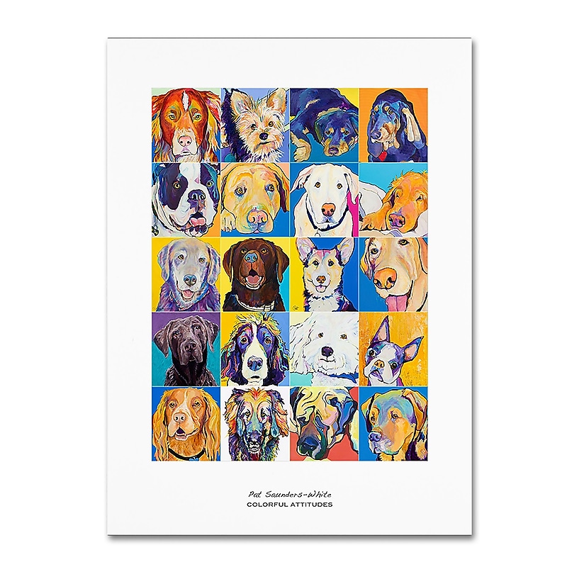 Trademark Fine Art Pat Saunders-White 'Colorful Attitudes Poster' 14" x 19" Canvas Stretched (190836058112) image 1