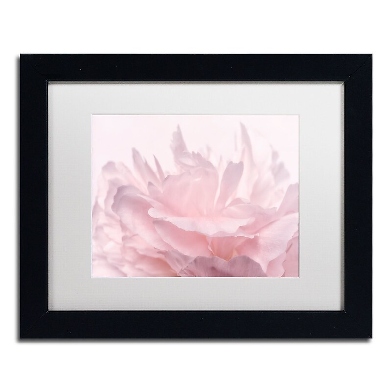 Trademark Fine Art Cora Niele 'Pink Peony Petals III' 11" x 14" Matted Framed (190836307548) image 1