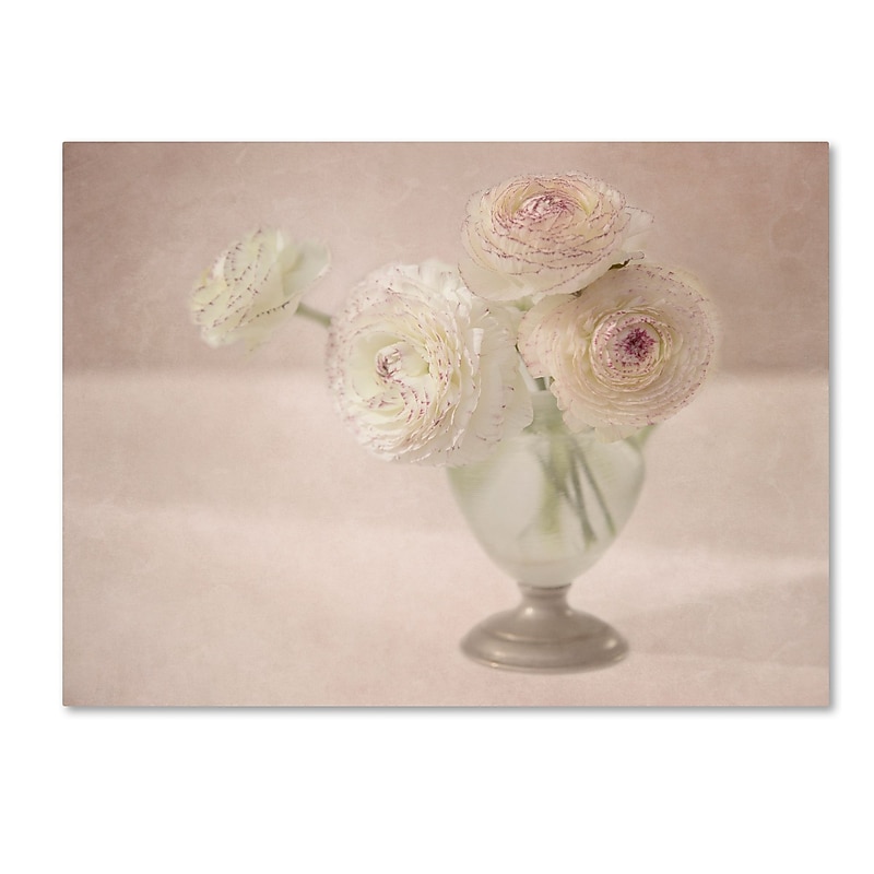 Trademark Fine Art Cora Niele 'White Persian Buttercups Posy' 14" x 19" Canvas Stretched (190836261345) image 1