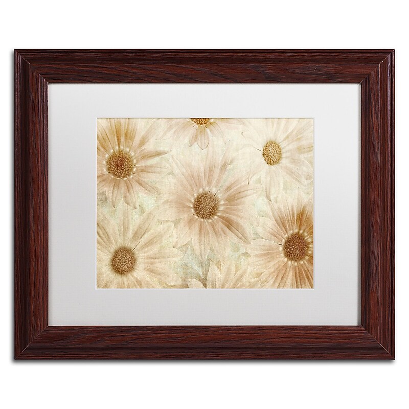 Trademark Fine Art Cora Niele 'Vintage Daisies' 11" x 14" Matted Framed (190836310746) image 1