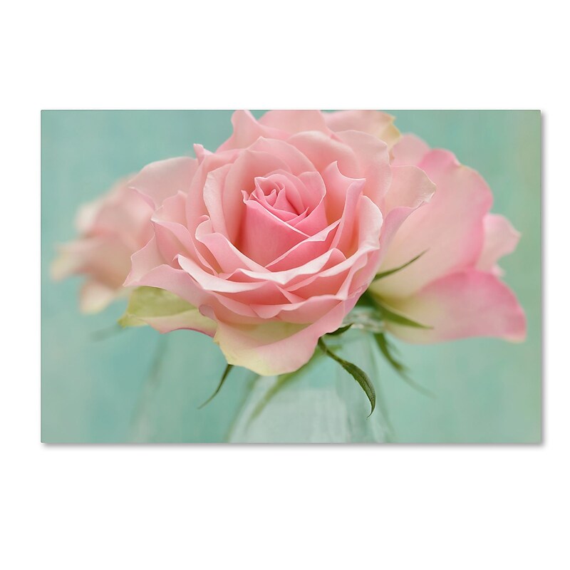 Trademark Fine Art Cora Niele 'Pink Roses' 12" x 19" Canvas Stretched (190836260225) image 1