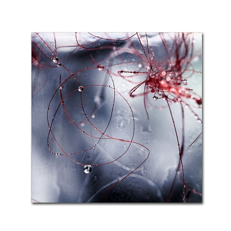 Trademark Fine Art Beata Czyzowska Young 'One Day I'll Find You' 18" x 18" Canvas Stretched Art Print (190836184774) image 1
