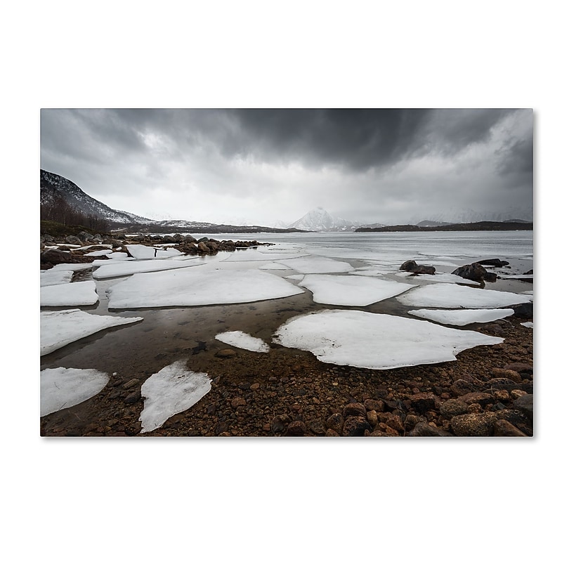 Trademark Fine Art Philippe Sainte-Laudy 'Wildest Dreams' 12" x 19" Canvas Stretched Art Print (190836238620) image 1