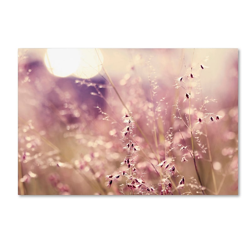 Trademark Fine Art Beata Czyzowska Young 'Afternoon Tales' 12" x 19" Canvas Stretched Art Print (190836182381) image 1