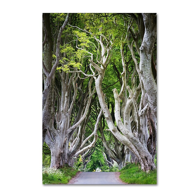 Trademark Fine Art Philippe Sainte-Laudy 'Down There' 12" x 19" Canvas Stretched Art Print (190836219704) image 1