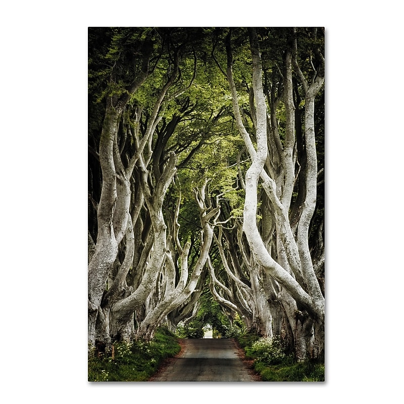 Trademark Fine Art Philippe Sainte-Laudy 'Romantic Avenue' 12" x 19" Canvas Stretched Art Print (190836224043) image 1