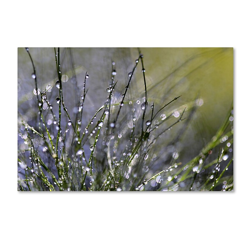 Trademark Fine Art Beata Czyzowska Young 'Spring Morning' 12" x 19" Canvas Stretched (190836185887) image 1