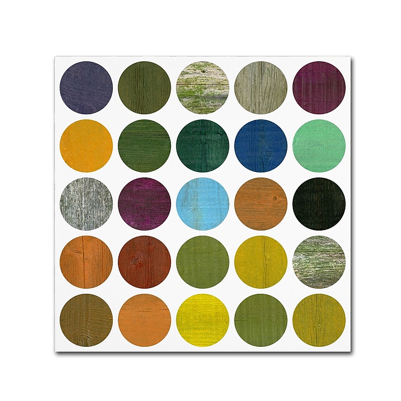 Trademark Fine Art Michelle Calkins 'Rustic Rounds 5.0' 14" x 14" Canvas Stretched Art Print (190836101900) image 1