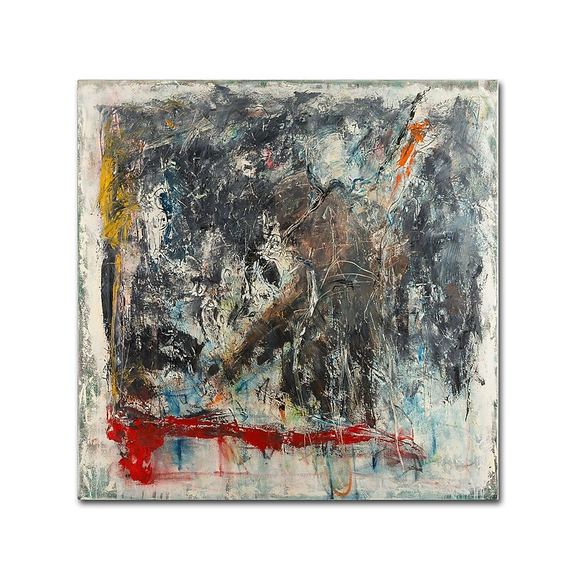 Trademark Fine Art Joarez 'Furia e Paixao' 18" x 18" Canvas Stretched Art Print (190836234356) image 1