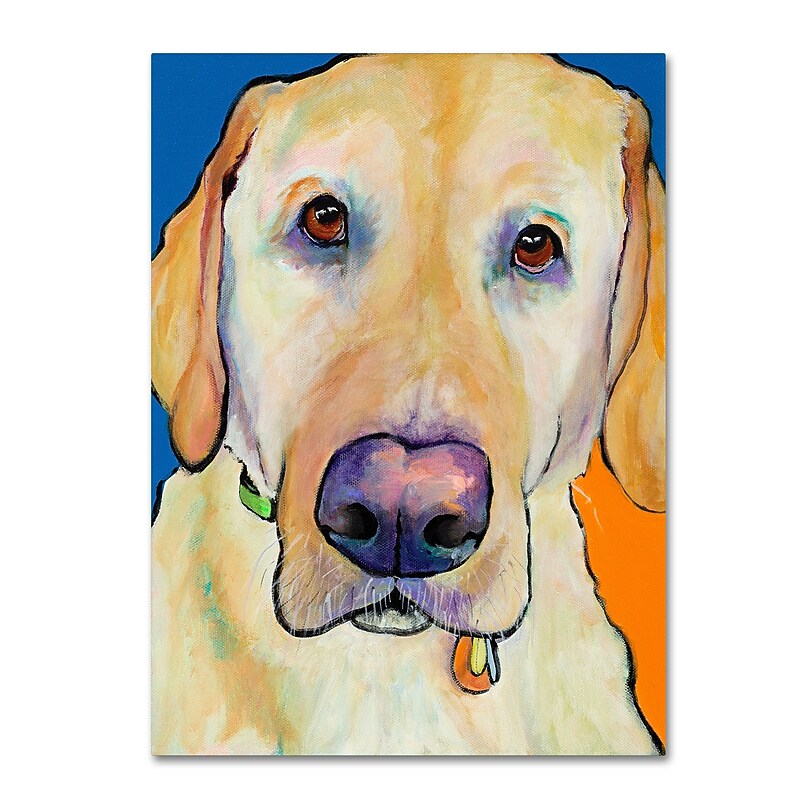 Trademark Fine Art Pat Saunders-White 'Spenser' 14" x 19" Canvas Stretched Art Print (190836062270) image 1