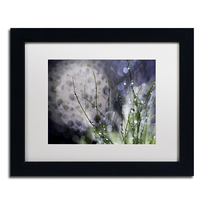 Trademark Fine Art Beata Czyzowska Young 'Morning Tale' 11" x 14" Matted Framed Art Print (190836184460) image 1