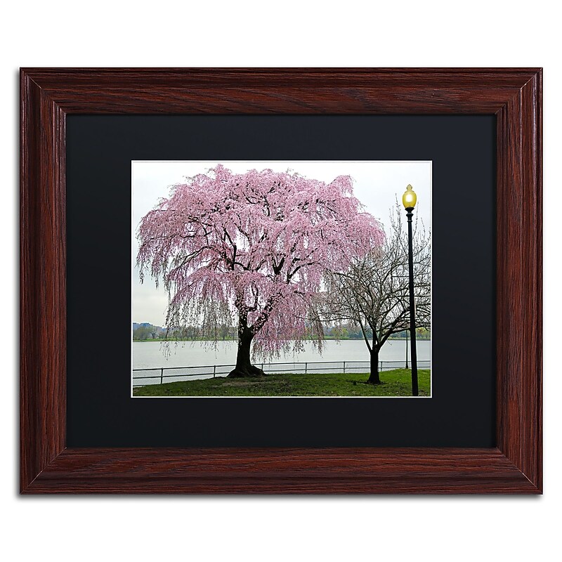 Trademark Fine Art CATeyes 'Cherry Tree' 11" x 14" Matted Framed (190836098347) image 1