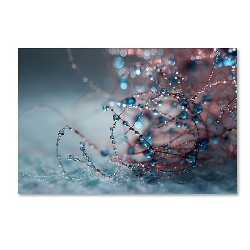 Trademark Fine Art Beata Czyzowska Young 'Blue Silence' 12" x 19" Canvas Stretched Art Print (190836182947) image 1