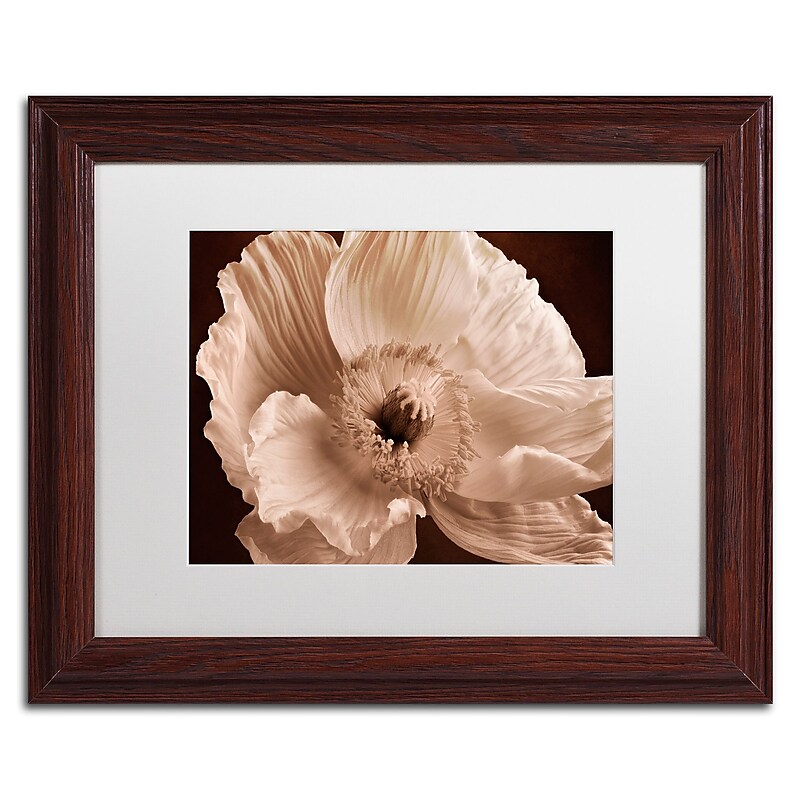 Trademark Fine Art Cora Niele 'Sepia Poppy I' 11" x 14" Matted Framed Art Print (190836309481) image 1