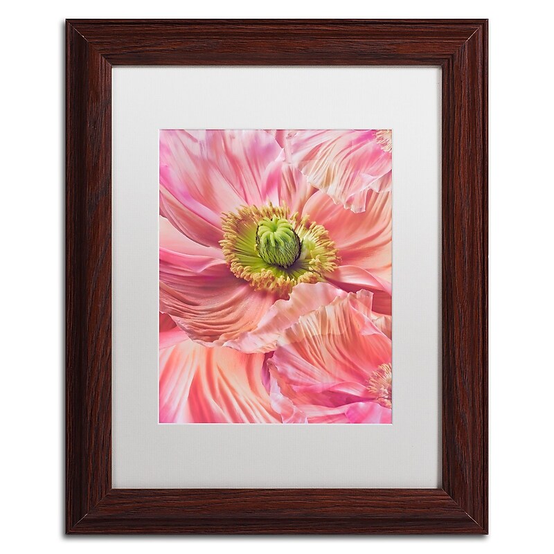 Trademark Fine Art Cora Niele 'Cerise Pink Poppy' 11" x 14" Matted Framed Art Print (190836256907) image 1