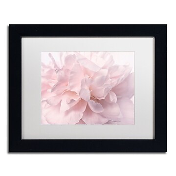 UPC 190836307401 product image for Trademark Fine Art Cora Niele 'Pink Peony Petals II' 11
