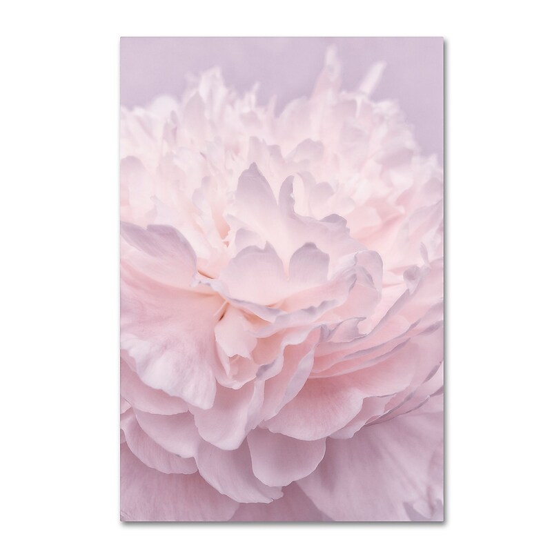Trademark Fine Art Cora Niele 'Pink Peony Petals I' 12" x 19" Canvas Stretched (190836307289) image 1