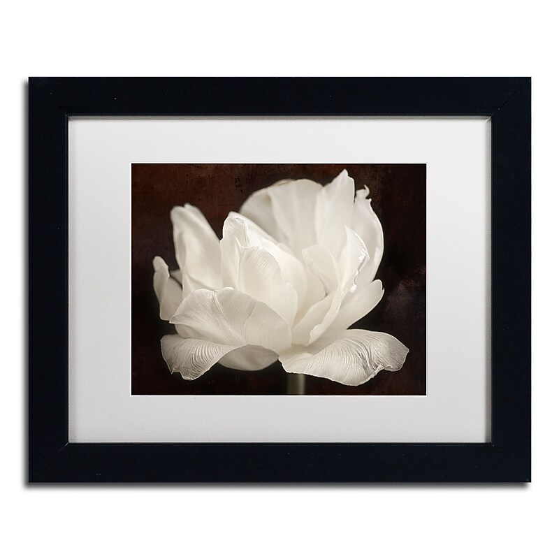 Trademark Fine Art Cora Niele 'White Tulip III' 11" x 14" Matted Framed (190836311880) image 1