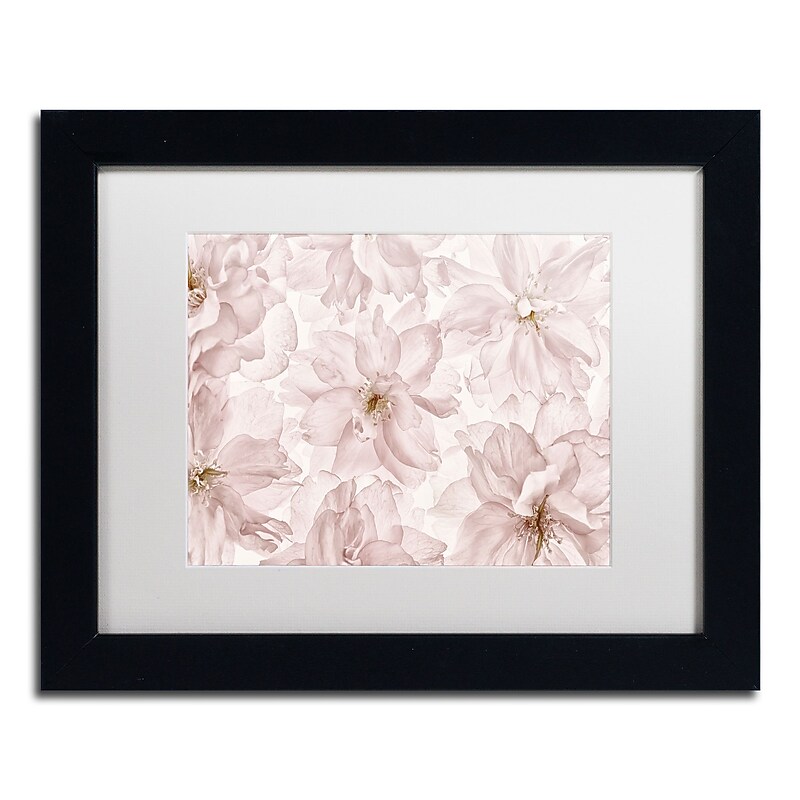 Trademark Fine Art Cora Niele 'Translucent Cherry Blossom' 11" x 14" Matted Framed (190836310203) image 1