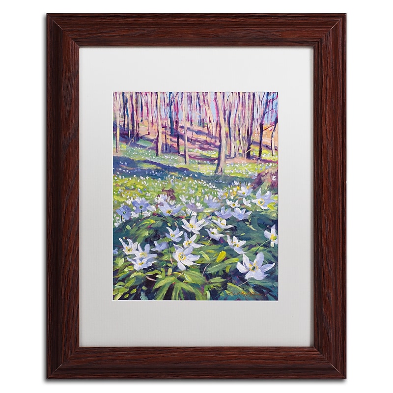 Trademark Fine Art David Lloyd Glover 'Anemones in the Meadow' 11" x 14" Matted Framed (190836228041) image 1
